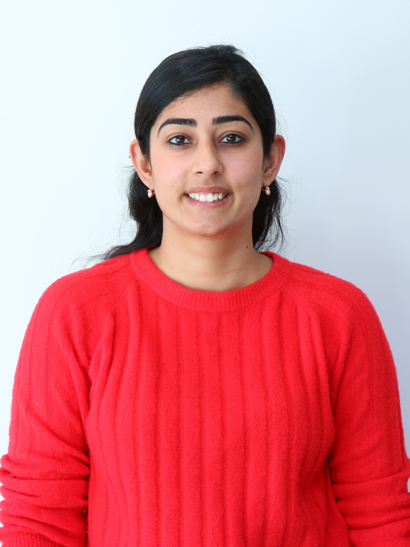 Damini Roy